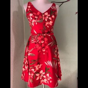 Dressbarn casual Floral Aline Dress size 4 petite